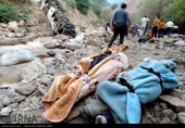 25 کشته و 15 زخمی در سقوط اتوبوس مسافری به دره 250 متری جاده چالوس
