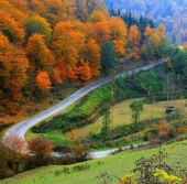 سرعت زیاد ، یعنی ریسک بالای تصادف ، با احتیاط برانیم .